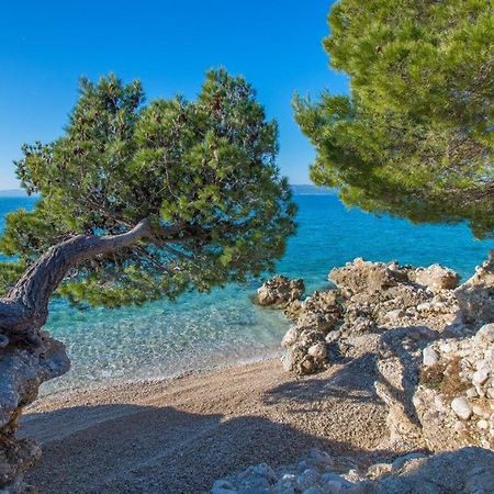 Apartman King Makarska Eksteriør bilde