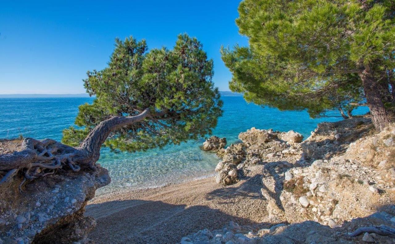 Apartman King Makarska Eksteriør bilde